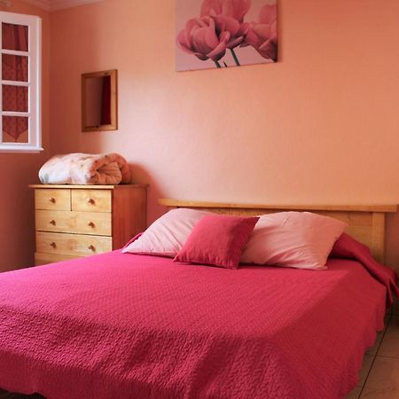 Villa CASAMELIAS Le camélia à Cilaos Extérieur photo